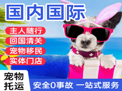 巴彦淖尔机场托运国际宠物托运 【国